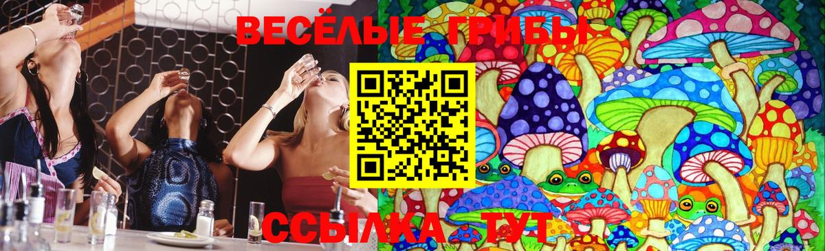 Псилоцибиновые грибы MAGIC MUSHROOMS  Вход с VPN  Электрогорск 
