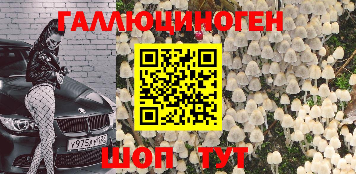 Псилоцибиновые грибы Cubensis Электрогорск